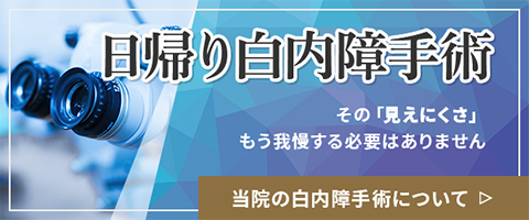 日帰り白内障手術 当院の白内障手術について